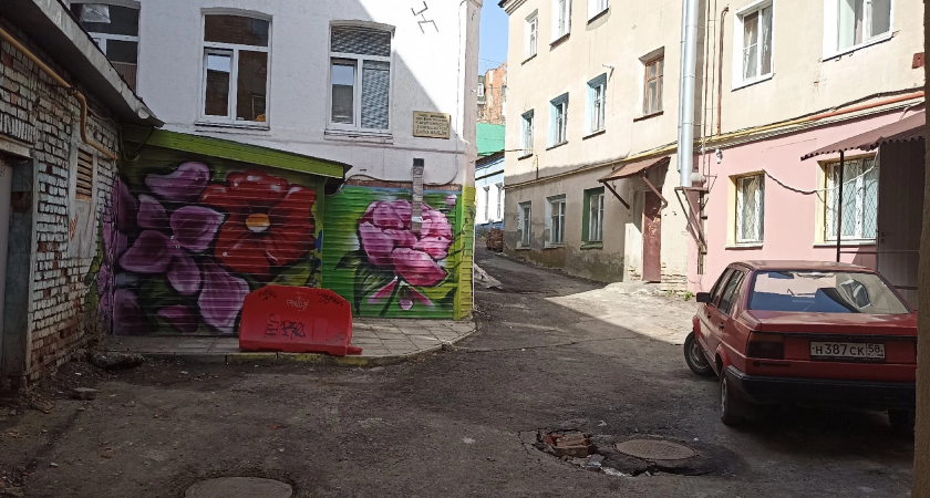 Пензенцы раскритиковали цветочное граффити на историческом доме, где жил маршал Тухачевский 