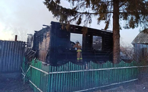 Три девочки погибли в ужасном пожаре в Пензенской области