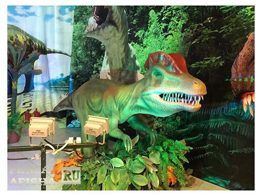 Мир динозавров и Мир любимых мультгероев