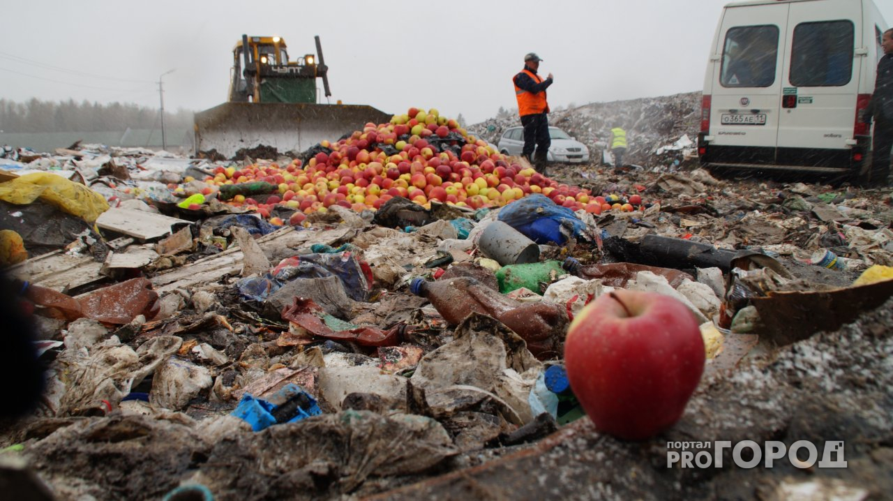 В Чемодановке уничтожили 170 килограмм груш, запрещенных в России