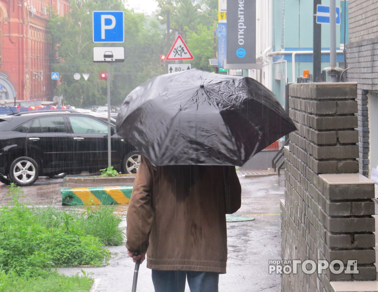 В понедельник в Пензе ожидается дождь и гроза
