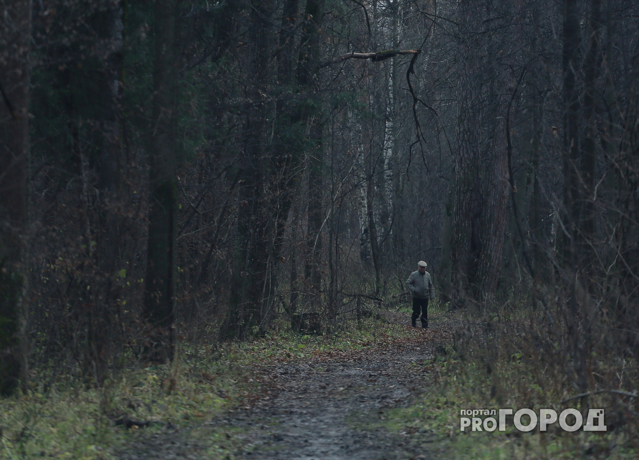 В лесах Пензенской области пропали две женщины и трое детей