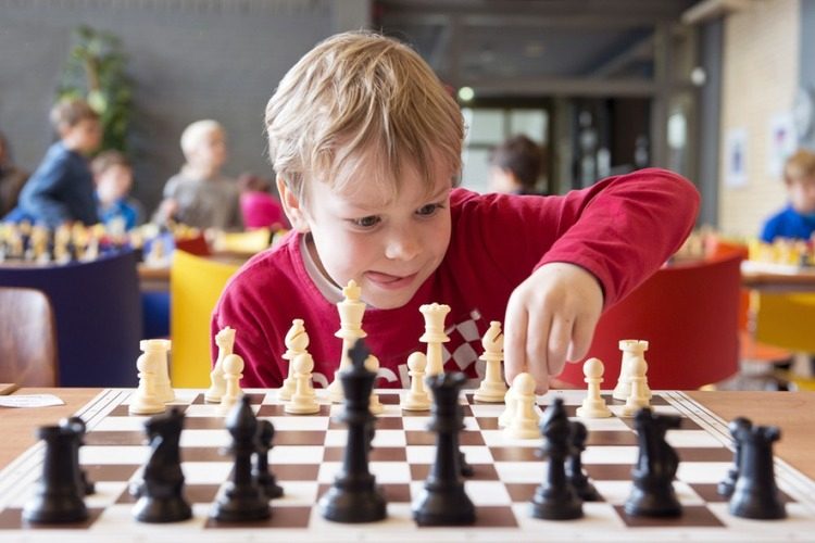 Как развить у ребенка логическое мышление, сосредоточенность и  самостоятельность?