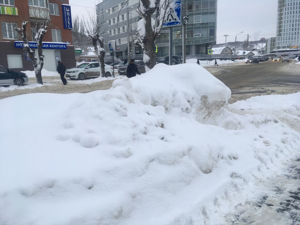 Пензенский снегопад заставил чиновников поработать руками