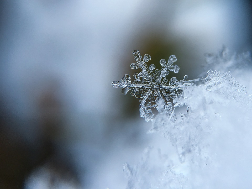 В Пензенской области 19 февраля ожидается снег и порывистый ветер