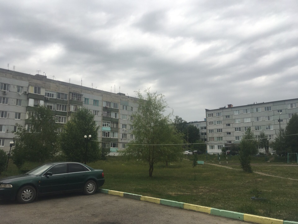 Роскомнадзор удалил ложные сведения о конфликте в Чемодановке Пензенской области