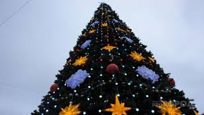Пензенцам сообщили, где установят главную новогоднюю елку