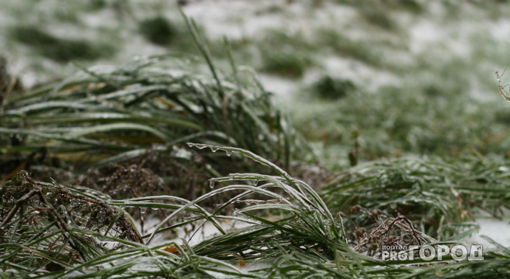 Желтый уровень опасности: ожидаются заморозки до минус двух в Пензенской области