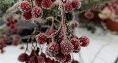 В Пензенской области ожидаются снегопад и ветренная погода
