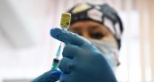 Еще 442 человека заболели коронавирусом в Пензенской области 