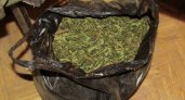 Полиция нашла у пензенца 4,5 килограммов марихуаны 