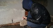 В гараже у жителя Пензенской области нашли тайник с марихуаной