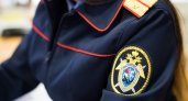 Следственный комитет начал проверку по факту смерти двух человек при пожаре в Засечном