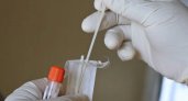 В Пензенской области коронавирусная инфекция подтвердилась у 73 жителей
