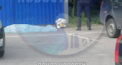 В СУ СК по Пензенской области прокомментировали смерть на парковке у ТЦ «Суворовский»