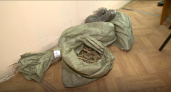 Полицейские нашли у жителя Пензенского района 117 кустов конопли 