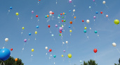 Специалисты Минлесхода попросили пензенских школьников не выпускать шары на 1 сентября 
