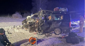 Полиция опубликовала фото с места аварии под Нижним Ломовом, где погибли семь человек 