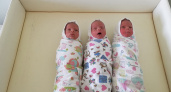 В 2023 году СНИЛС получили 9 тысяч новорожденных в Пензенской области 