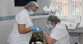 В феврале пензенцы смогут посетить стоматолога бесплатно