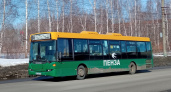 Все троллейбусы Пензы покрасят в цвета официального герба области