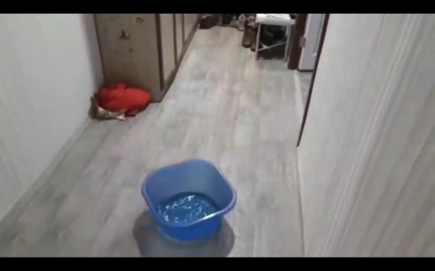 В Пензе заливает квартиру, в которой проживает ребенок-инвалид